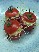 2016-09-17-photo-00000234