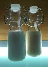 2016-09-18-photo-00000241