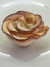 2017-01-16-photo-00000293